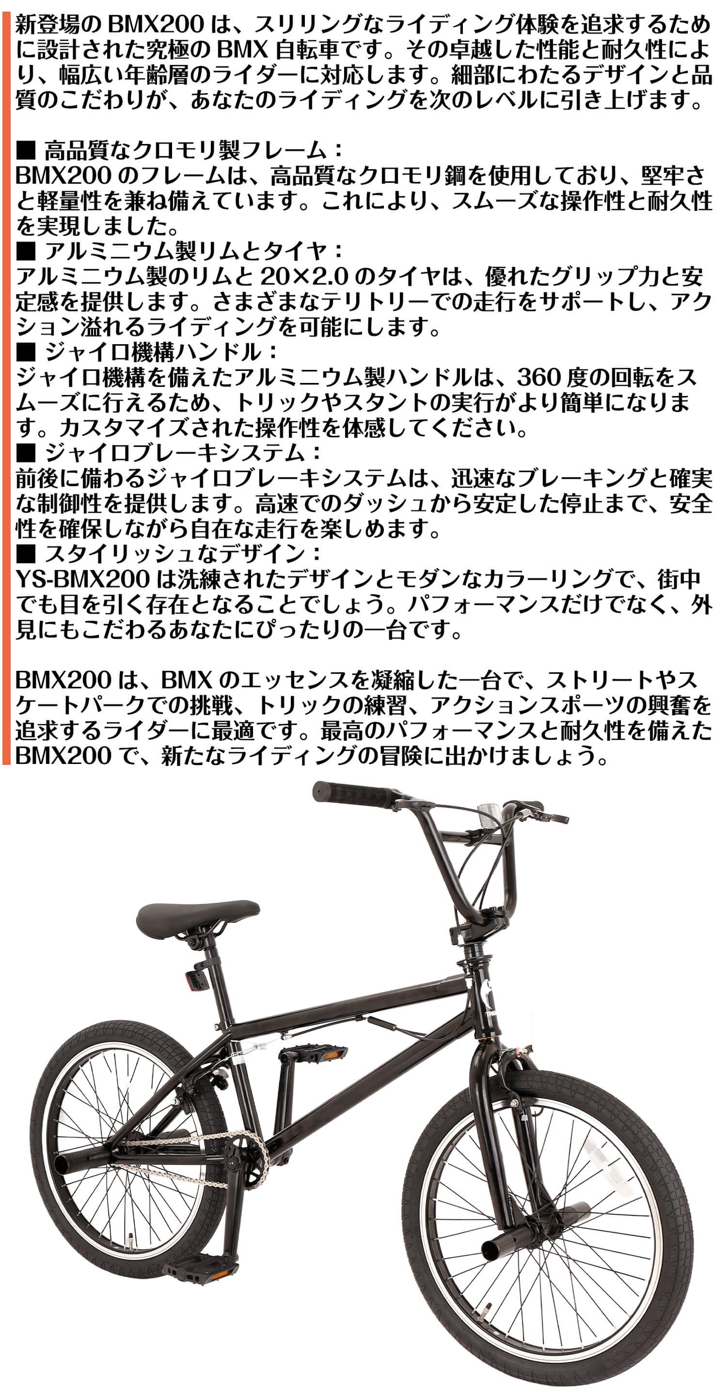 SPEEDWORLD BMXバイク 20インチ YS-BMX200 詳細画像