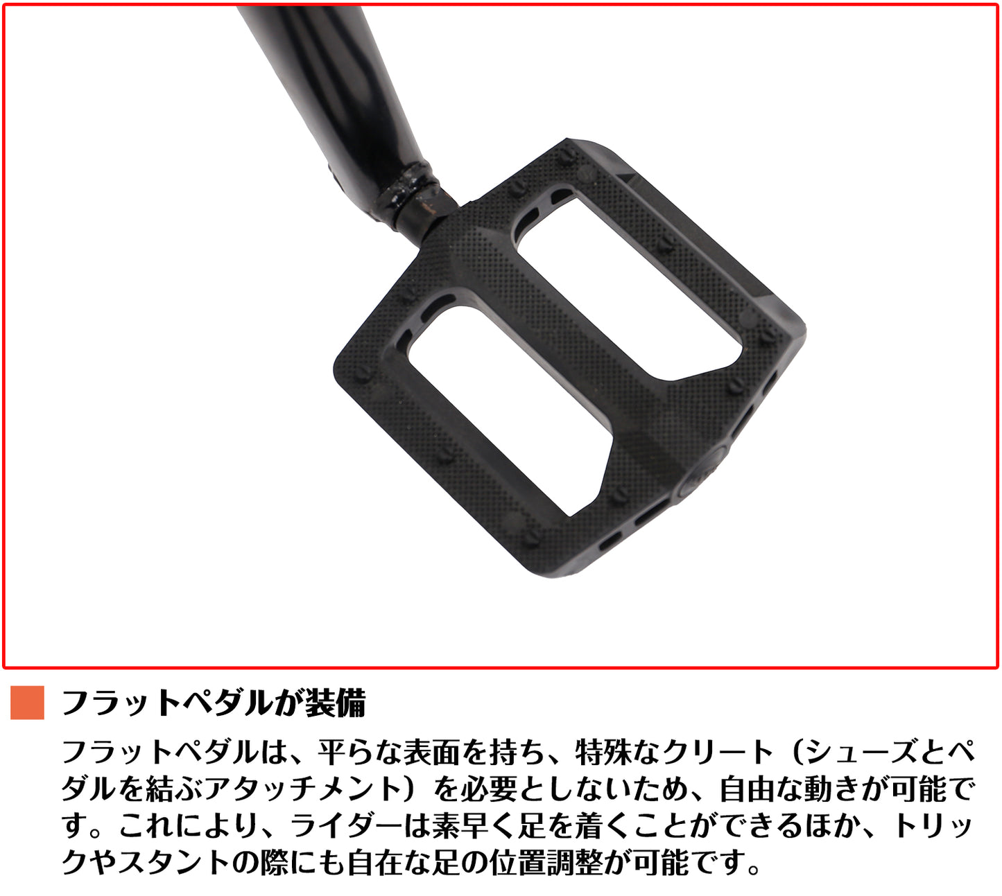 SPEEDWORLD BMX 20インチ シングルスピード フリースタイルバイク YS-BMX200