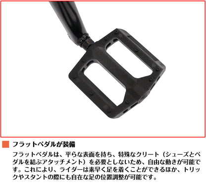 SPEEDWORLD BMX 20インチ シングルスピード フリースタイルバイク YS-BMX200